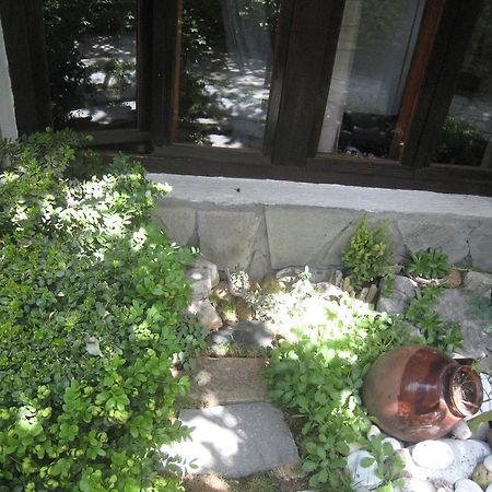 דוברינישטה Guest House Voyno מראה חיצוני תמונה