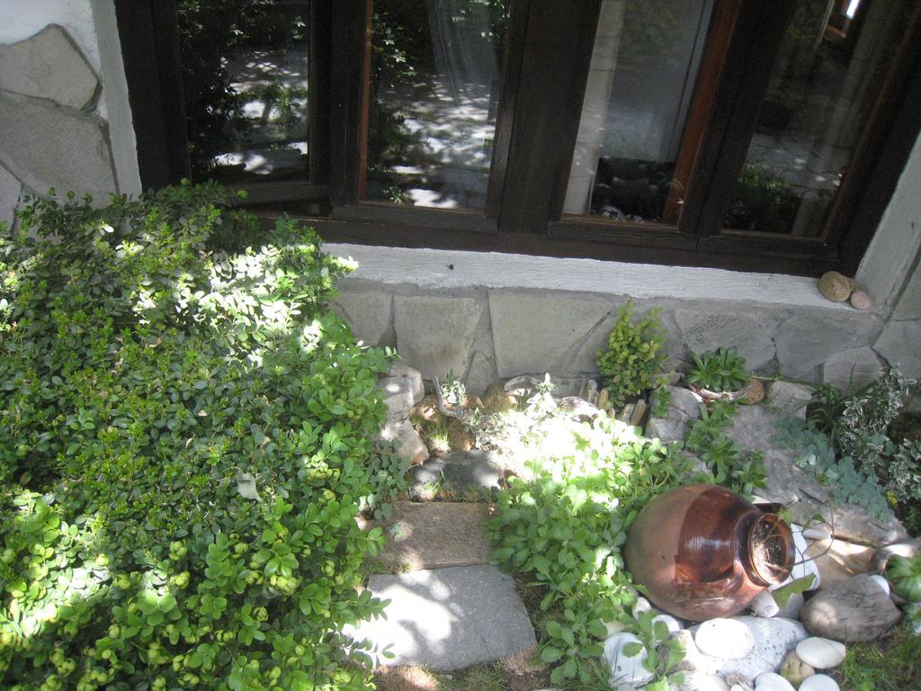 דוברינישטה Guest House Voyno מראה חיצוני תמונה